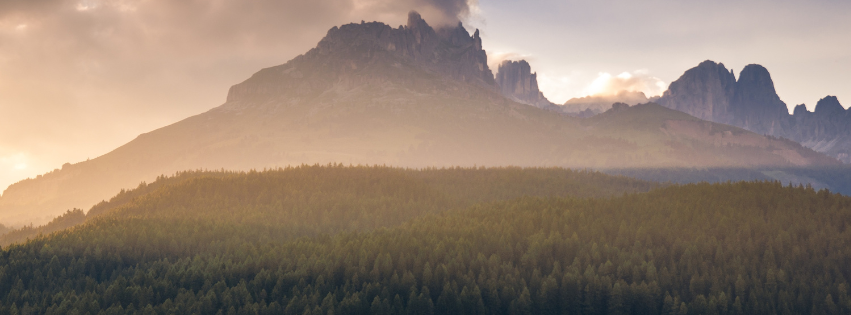 untitled design 1 untitled design 1